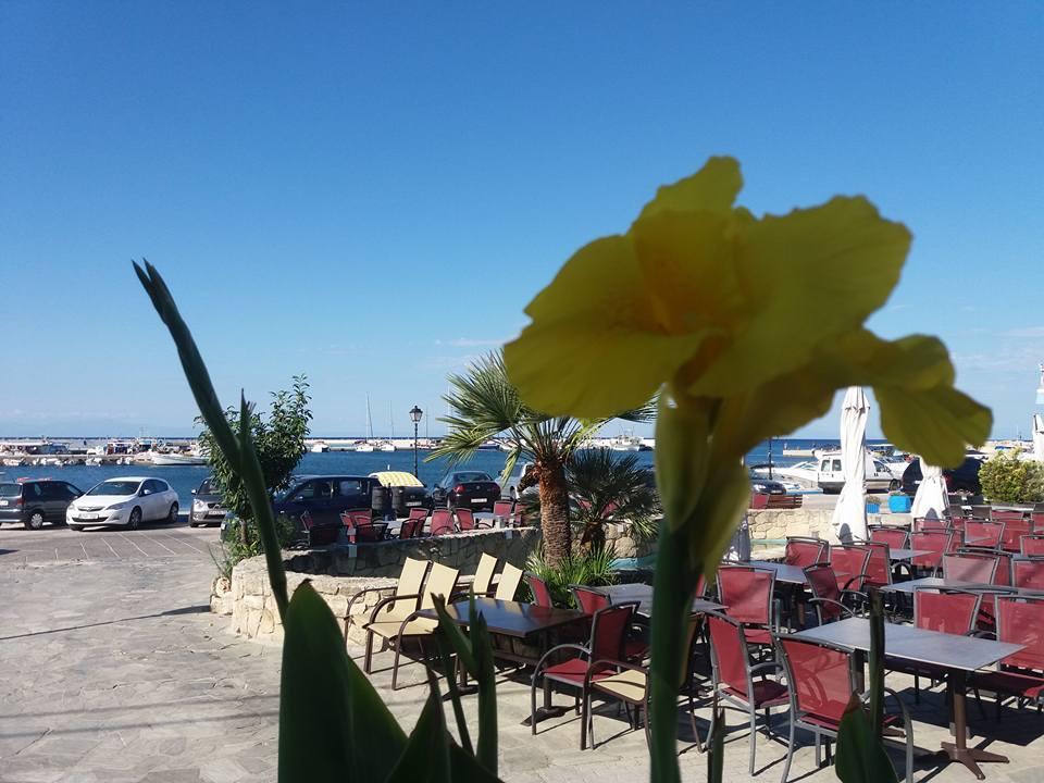 Peristerianos Apartments Νέα Σκιώνη Εξωτερικό φωτογραφία